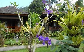 Kubu Alas Tunggal Villa